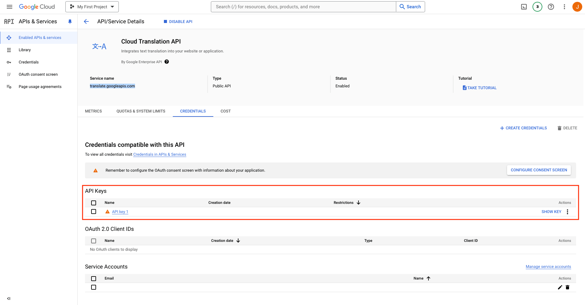 Screenshot of Cloud Translation API configuration with API keys section outlined in red