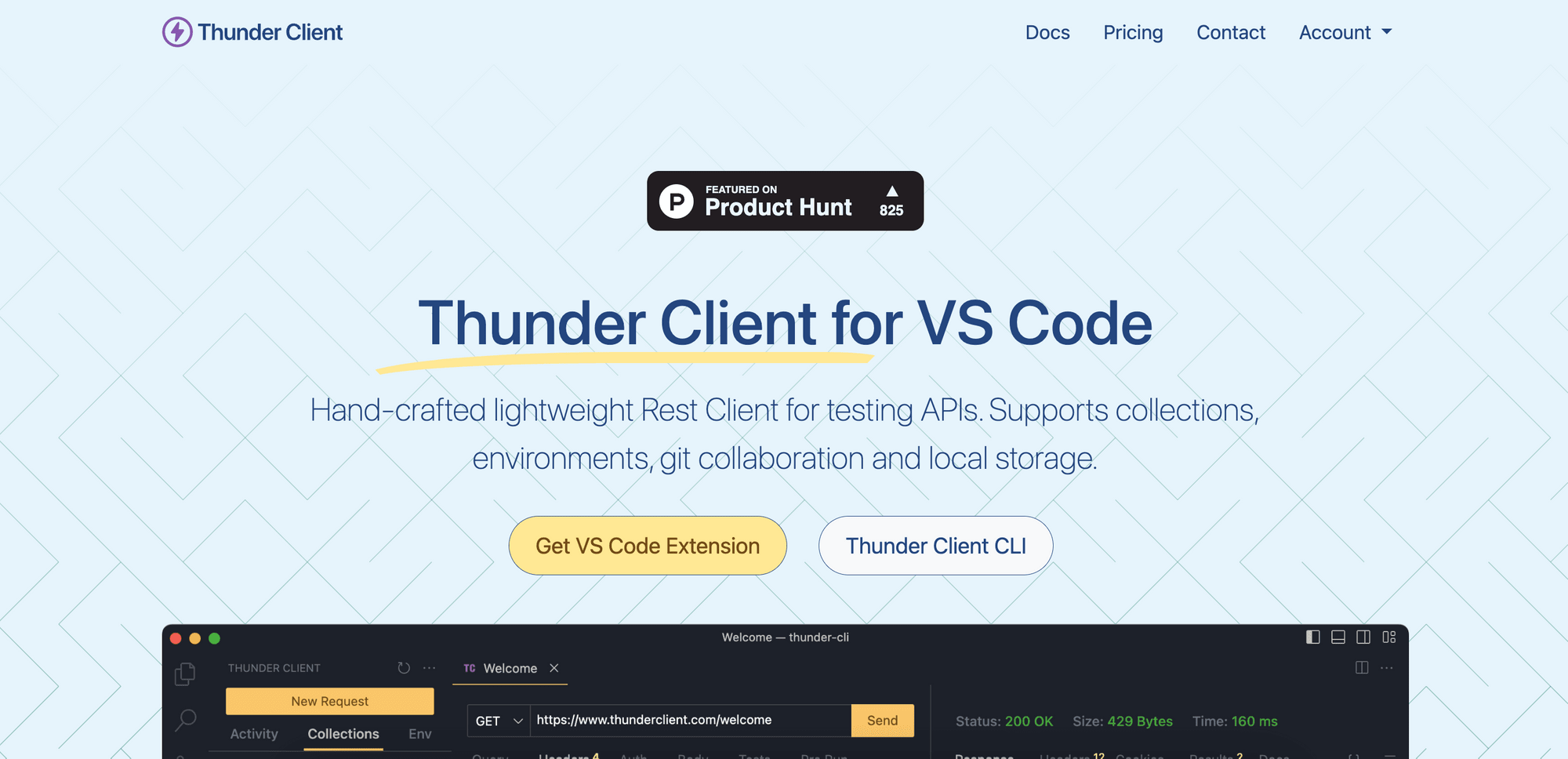 Thunderclient.png