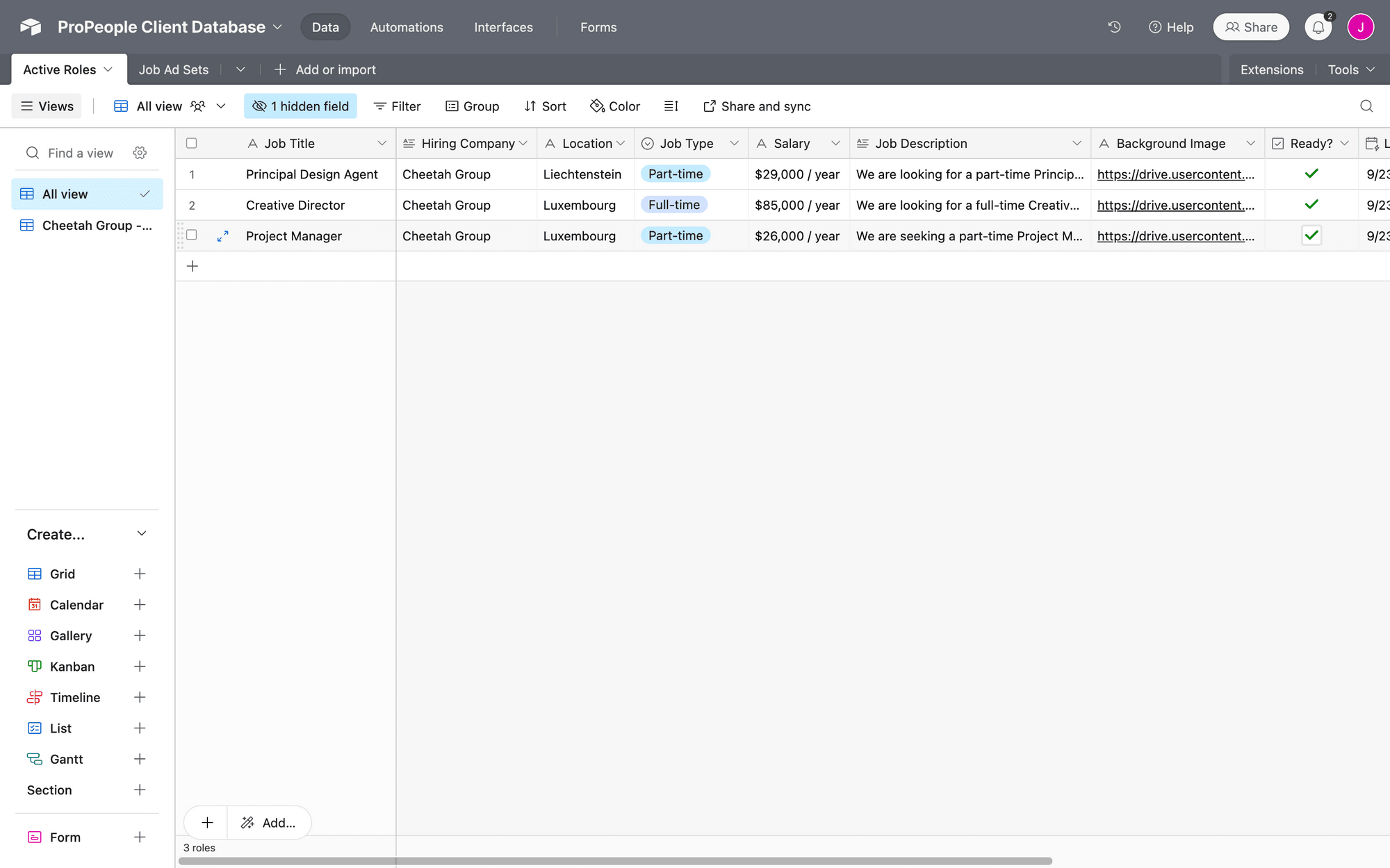 Screenshot of Airtable active roles table with sample data