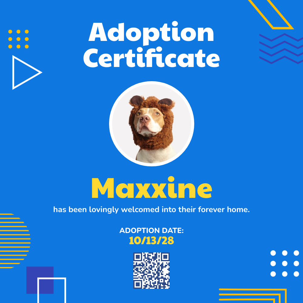 Bannerbear Blue Yellow Geometric Square Adoption Certificate template