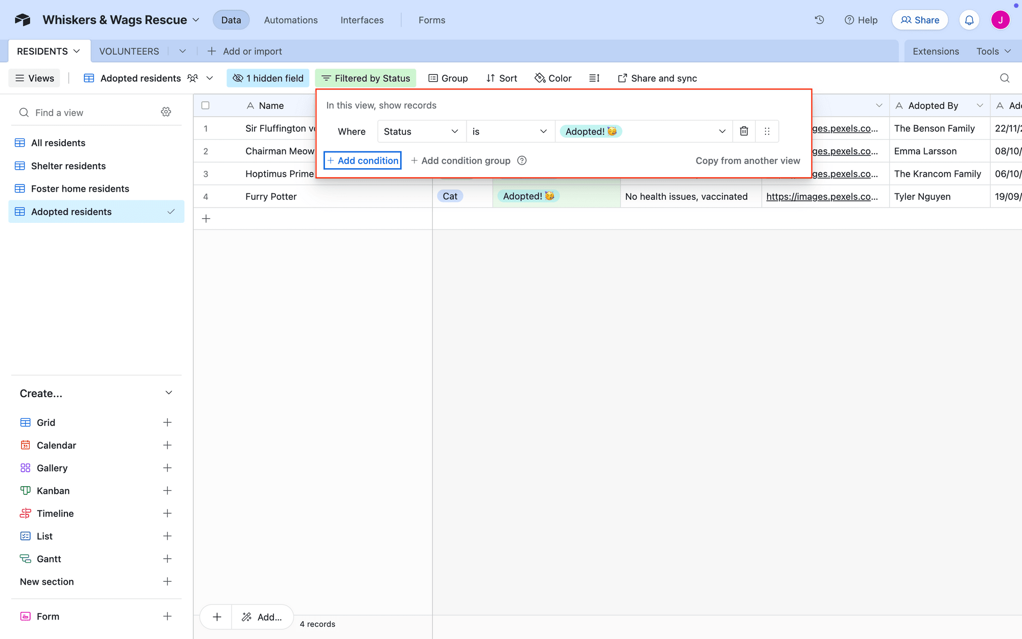 Screenshot of Airtable database with view filtered by adoption status